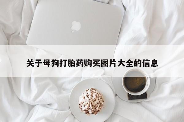 网上打胎药专卖微信关于母狗打胎药购买图片大全的信息